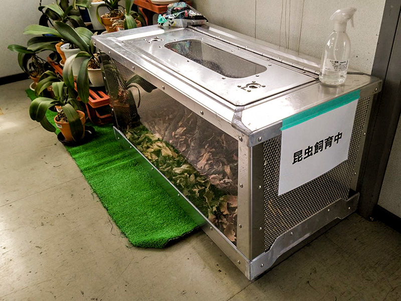 巨大虫かごの保養所